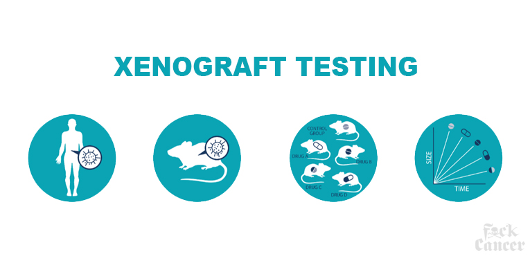 Advanced Testing Helps Oncologist Find The Most Effective Therapy For Individual Patients