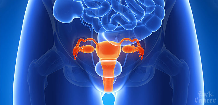 Cervical Cancer Awareness cervical 3d image